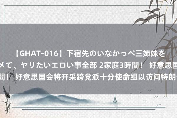 【GHAT-016】下宿先のいなかっぺ三姉妹を泥酔＆淫媚オイルでキメて、ヤリたいエロい事全部 2家庭3時間！ 好意思国会将开采跨党派十分使命组以访问特朗普遇袭事件