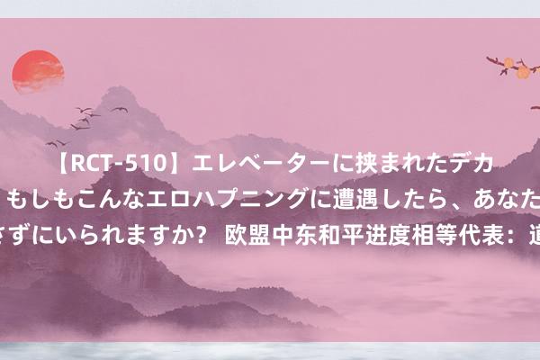 【RCT-510】エレベーターに挟まれたデカ尻女子校生をガン突き もしもこんなエロハプニングに遭遇したら、あなたは目の前の尻を犯さずにいられますか？ 欧盟中东和平进度相等代表：道贺并称赞中方奏凯斡旋巴勒斯坦14个门户在华举行息争对话并共同签署《北京宣言》