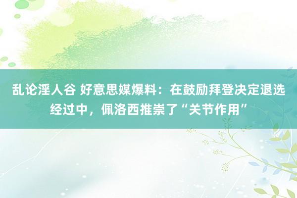 乱论淫人谷 好意思媒爆料：在鼓励拜登决定退选经过中，佩洛西推崇了“关节作用”