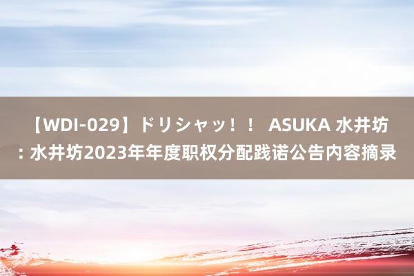 【WDI-029】ドリシャッ！！ ASUKA 水井坊: 水井坊2023年年度职权分配践诺公告内容摘录