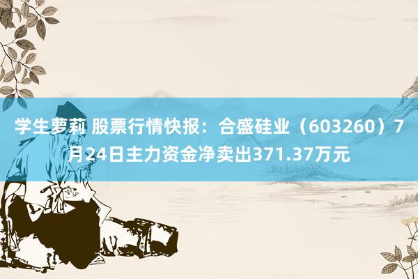 学生萝莉 股票行情快报：合盛硅业（603260）7月24日主力资金净卖出371.37万元