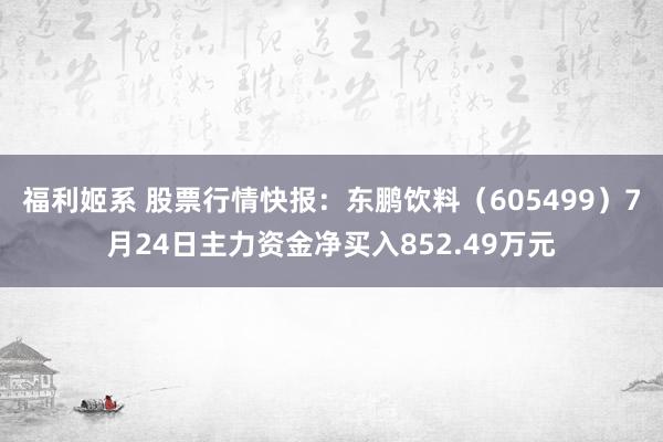 福利姬系 股票行情快报：东鹏饮料（605499）7月24日主力资金净买入852.49万元