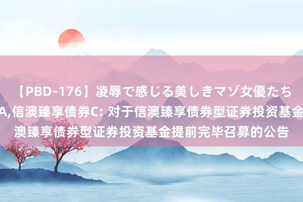 【PBD-176】凌辱で感じる美しきマゾ女優たち8時間 信澳臻享债券A，信澳臻享债券C: 对于信澳臻享债券型证券投资基金提前完毕召募的公告