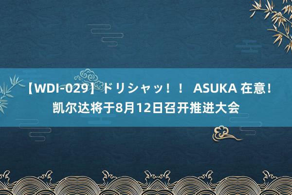 【WDI-029】ドリシャッ！！ ASUKA 在意！凯尔达将于8月12日召开推进大会