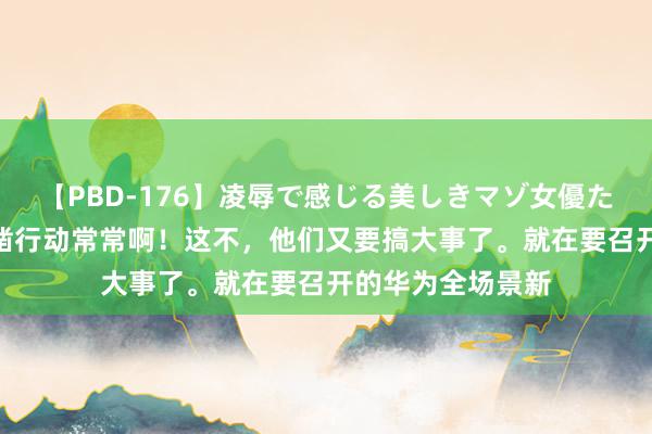 【PBD-176】凌辱で感じる美しきマゾ女優たち8時間 华为确凿行动常常啊！这不，他们又要搞大事了。就在要召开的华为全场景新