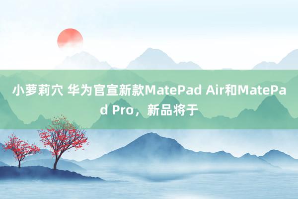 小萝莉穴 华为官宣新款MatePad Air和MatePad Pro，新品将于