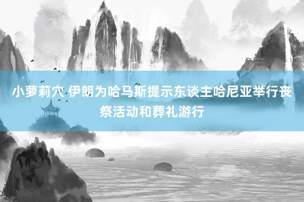 小萝莉穴 伊朗为哈马斯提示东谈主哈尼亚举行丧祭活动和葬礼游行