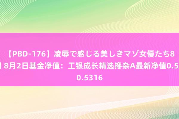 【PBD-176】凌辱で感じる美しきマゾ女優たち8時間 8月2日基金净值：工银成长精选搀杂A最新净值0.5316