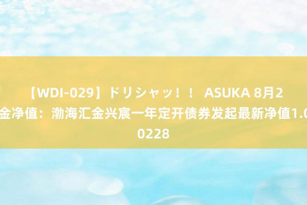 【WDI-029】ドリシャッ！！ ASUKA 8月2日基金净值：渤海汇金兴宸一年定开债券发起最新净值1.0228