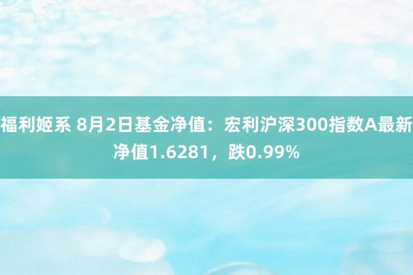 福利姬系 8月2日基金净值：宏利沪深300指数A最新净值1.6281，跌0.99%