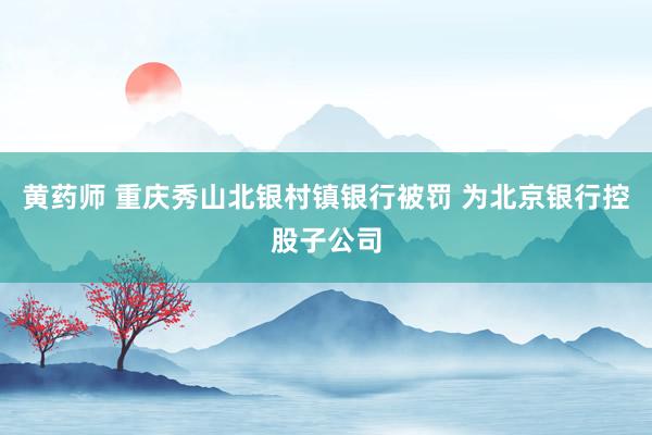 黄药师 重庆秀山北银村镇银行被罚 为北京银行控股子公司