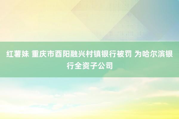 红薯妹 重庆市酉阳融兴村镇银行被罚 为哈尔滨银行全资子公司