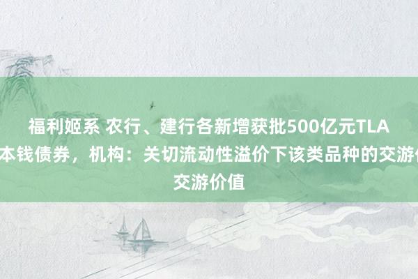 福利姬系 农行、建行各新增获批500亿元TLAC非本钱债券，机构：关切流动性溢价下该类品种的交游价值