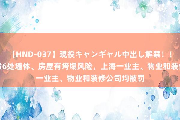 【HND-037】現役キャンギャル中出し解禁！！ ASUKA 敲毁6处墙体、房屋有垮塌风险，上海一业主、物业和装修公司均被罚