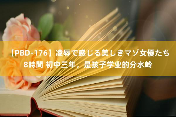 【PBD-176】凌辱で感じる美しきマゾ女優たち8時間 初中三年，是孩子学业的分水岭