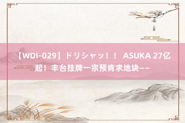 【WDI-029】ドリシャッ！！ ASUKA 27亿起！丰台挂牌一宗预肯求地块——