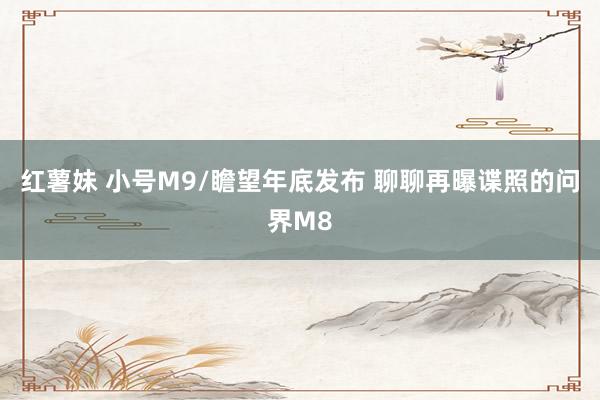 红薯妹 小号M9/瞻望年底发布 聊聊再曝谍照的问界M8