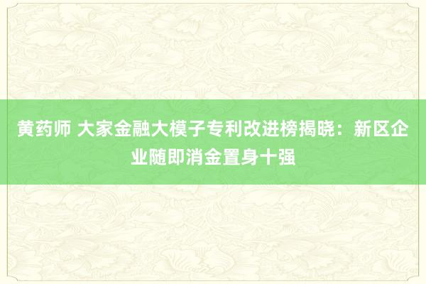 黄药师 大家金融大模子专利改进榜揭晓：新区企业随即消金置身十强