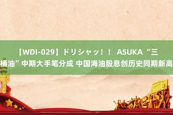 【WDI-029】ドリシャッ！！ ASUKA “三桶油”中期大手笔分成 中国海油股息创历史同期新高