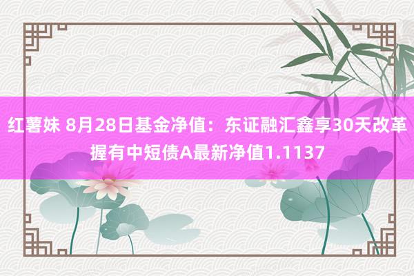 红薯妹 8月28日基金净值：东证融汇鑫享30天改革握有中短债A最新净值1.1137