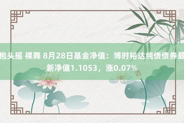 抱头摇 裸舞 8月28日基金净值：博时裕达纯债债券最新净值1.1053，涨0.07%