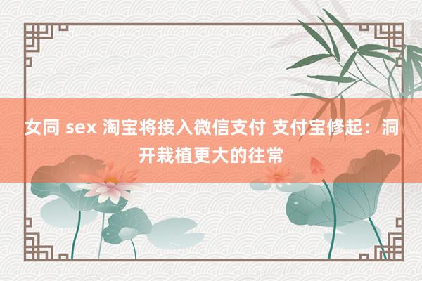 女同 sex 淘宝将接入微信支付 支付宝修起：洞开栽植更大的往常