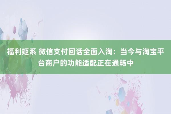 福利姬系 微信支付回话全面入淘：当今与淘宝平台商户的功能适配正在通畅中