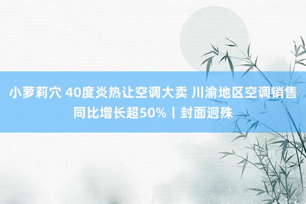 小萝莉穴 40度炎热让空调大卖 川渝地区空调销售同比增长超50%丨封面迥殊