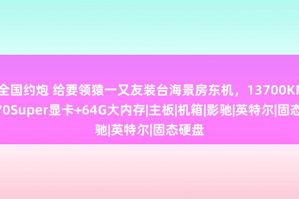 全国约炮 给要领猿一又友装台海景房东机，13700KF+4070Super显卡+64G大内存|主板|机箱|影驰|英特尔|固态硬盘