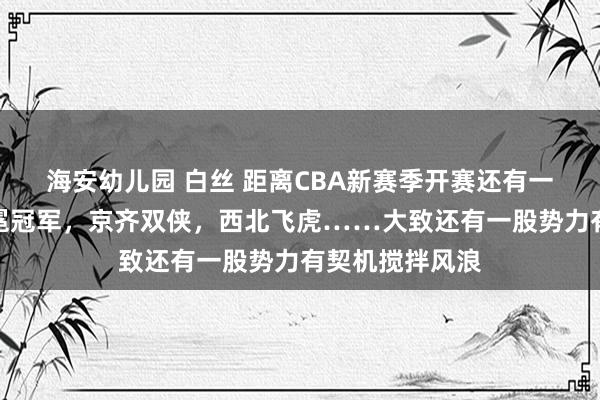 海安幼儿园 白丝 距离CBA新赛季开赛还有一个月，除了卫冕冠军，京齐双侠，西北飞虎……大致还有一股势力有契机搅拌风浪