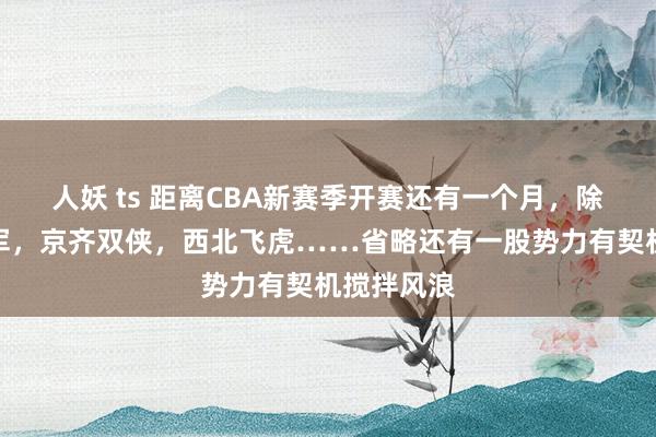 人妖 ts 距离CBA新赛季开赛还有一个月，除了卫冕冠军，京齐双侠，西北飞虎……省略还有一股势力有契机搅拌风浪