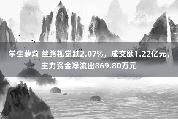 学生萝莉 丝路视觉跌2.07%，成交额1.22亿元，主力资金净流出869.80万元