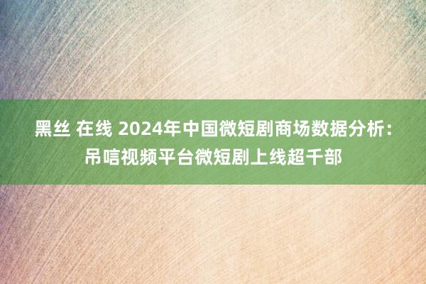 黑丝 在线 2024年中国微短剧商场数据分析：吊唁视频平台微短剧上线超千部